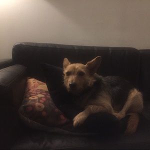 Meet your Posher, Joseph